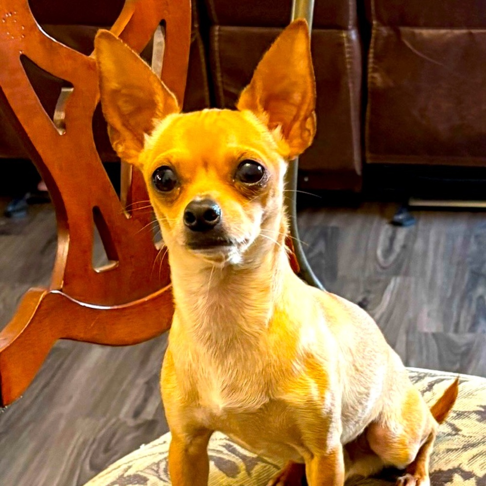 Meet your Posher, Christina